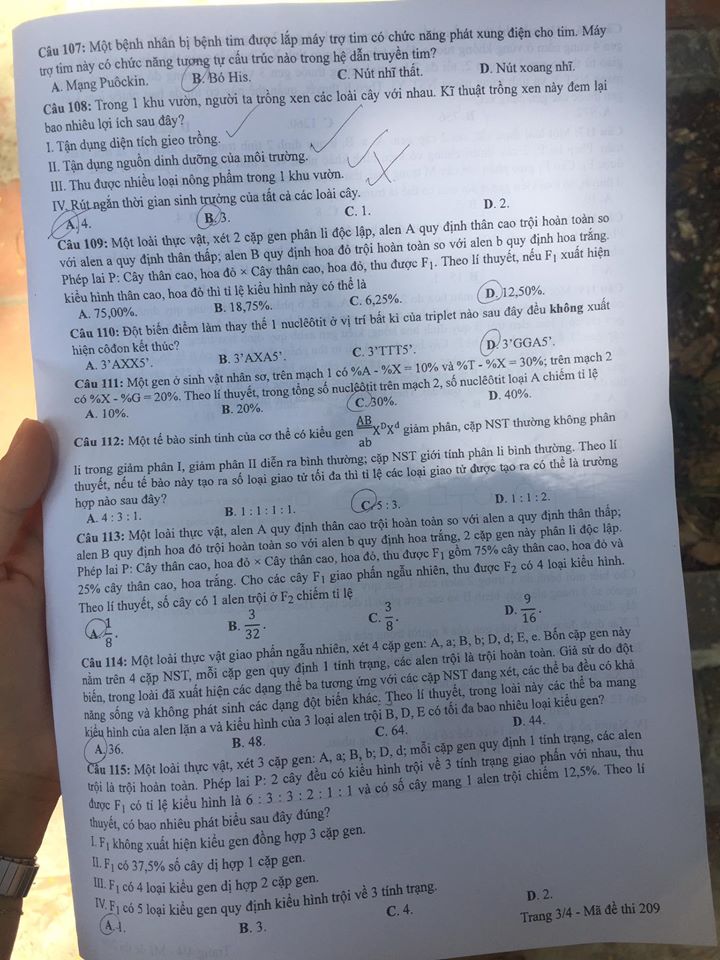 Giáo dục - Đáp án đề thi môn Sinh học tốt nghiệp THPT 2020 chuẩn nhất mã đề 209 (Hình 3).