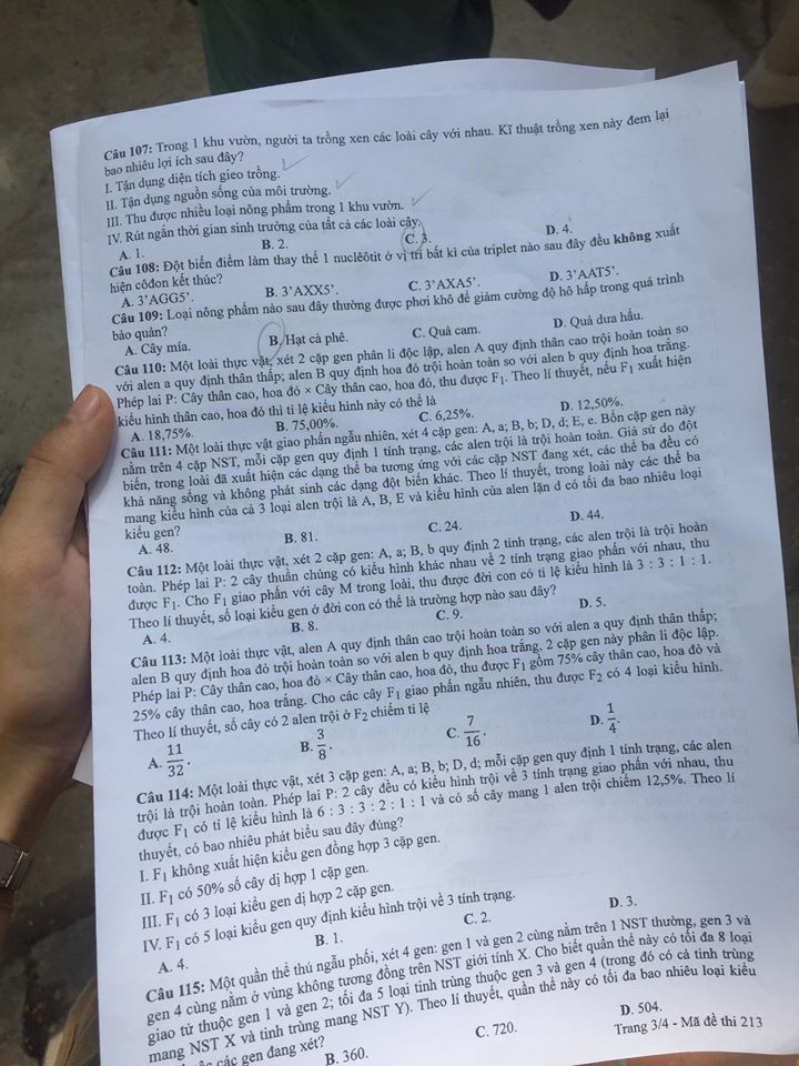 Giáo dục - Đáp án đề thi môn Sinh học tốt nghiệp THPT 2020 chuẩn nhất mã đề 213 (Hình 3).