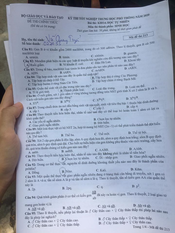 Giáo dục - Đáp án đề thi môn Sinh học tốt nghiệp THPT 2020 chuẩn nhất mã đề 213