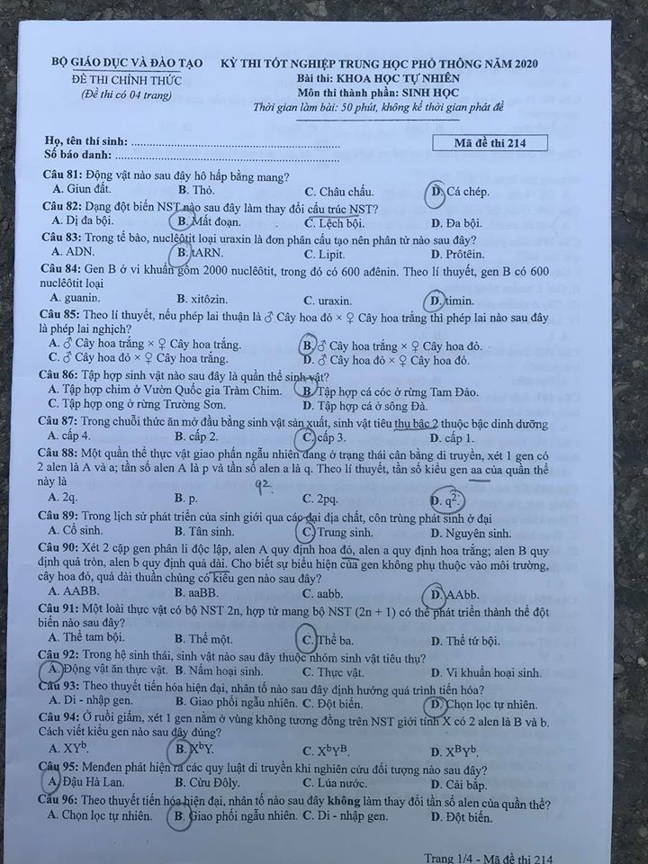 Giáo dục - Đáp án đề thi môn Sinh học tốt nghiệp THPT 2020 chuẩn nhất mã đề 214