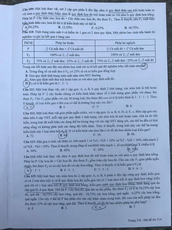 Giáo dục - Đáp án đề thi môn Sinh học tốt nghiệp THPT 2020 chuẩn nhất mã đề 214 (Hình 3).