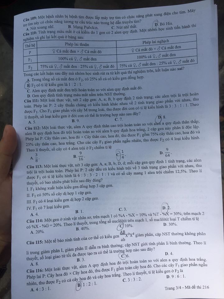 Giáo dục - Đáp án đề thi môn Sinh học tốt nghiệp THPT 2020 chuẩn nhất mã đề 216 (Hình 3).