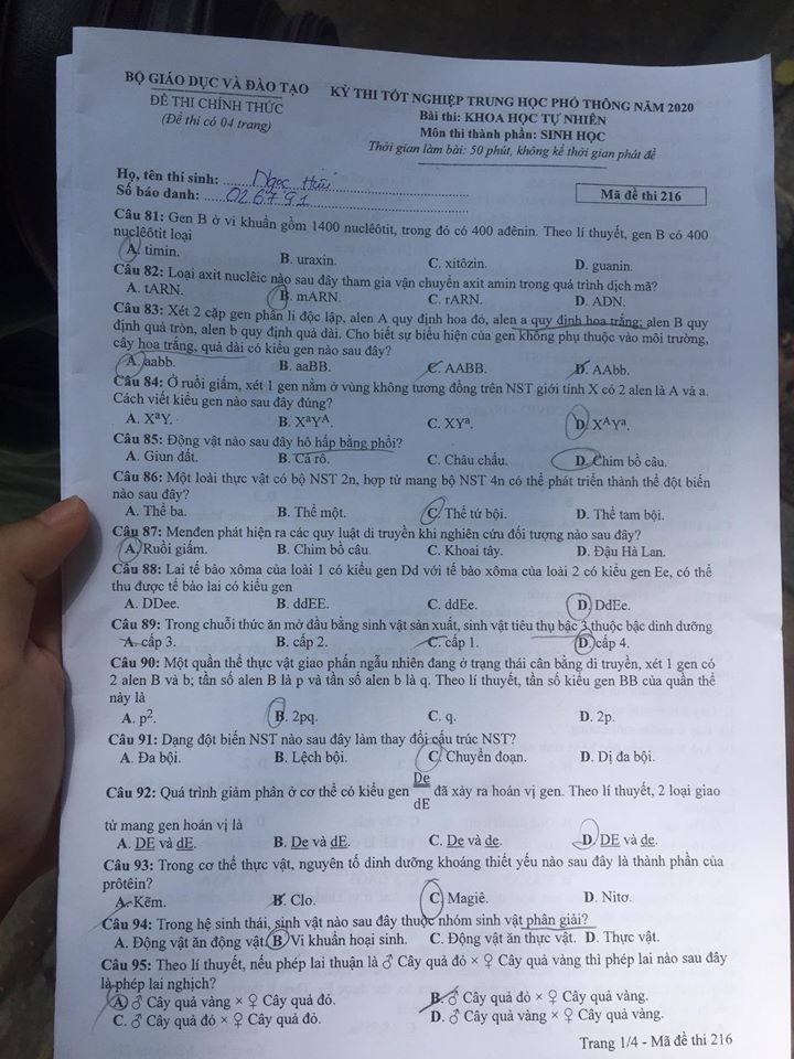 Giáo dục - Đáp án đề thi môn Sinh học tốt nghiệp THPT 2020 chuẩn nhất mã đề 216