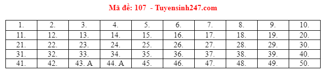 Giáo dục - Đáp án đề thi môn Toán tốt nghiệp THPT 2021 chuẩn nhất mã đề 107