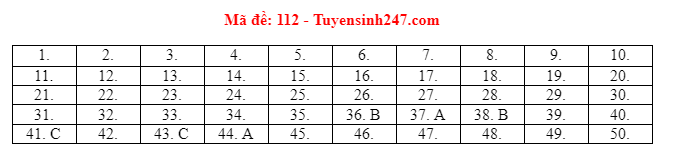 Giáo dục - Đáp án đề thi môn Toán tốt nghiệp THPT 2021 chuẩn nhất mã đề 112 (Hình 6).