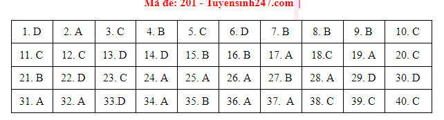 Giáo dục - Đáp án đề thi môn Vật Lý mã đề 201 kỳ thi THPT Quốc gia 2021