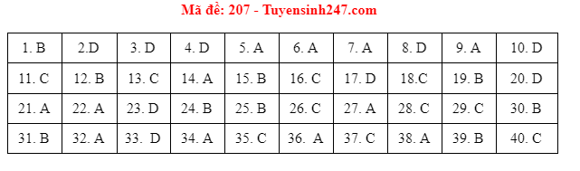 Giáo dục - Đáp án đề thi môn Vật Lý mã đề 207 kỳ thi THPT Quốc gia 2021