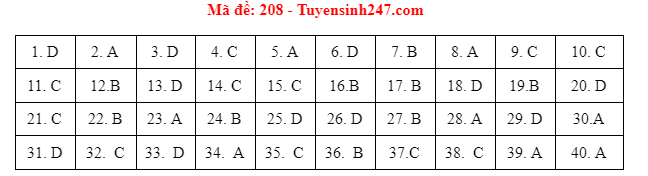 Giáo dục - Đáp án đề thi môn Vật Lý mã đề 208 kỳ thi THPT Quốc gia 2021