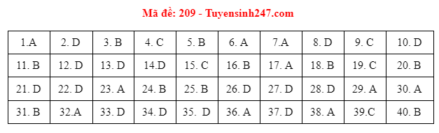 Giáo dục - Đáp án đề thi môn Vật Lý mã đề 209 kỳ thi THPT Quốc gia 2021