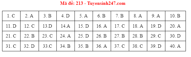 Giáo dục - Đáp án đề thi môn Vật Lý mã đề 213 kỳ thi THPT Quốc gia 2021