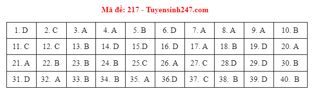 Giáo dục - Đáp án đề thi môn Vật Lý mã đề 217 kỳ thi THPT Quốc gia 2021