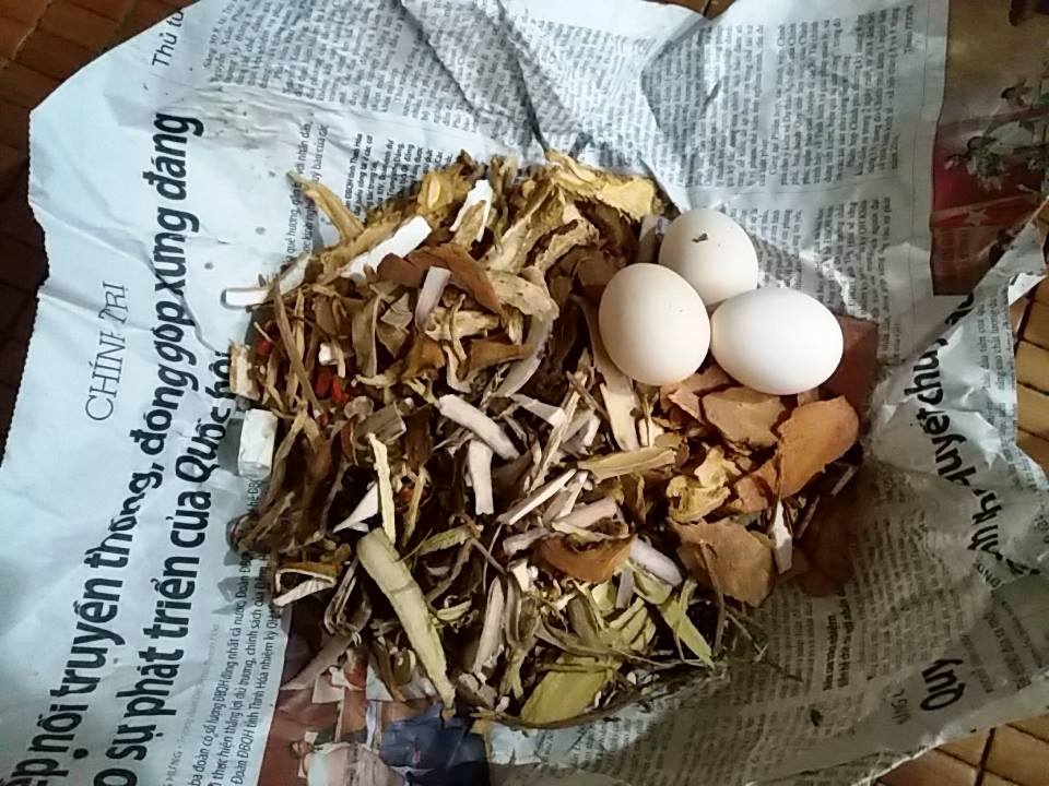 Sức khỏe - Thực hư tin đồn nuôi “con ma thuốc độc” hại người ở Quảng Bình