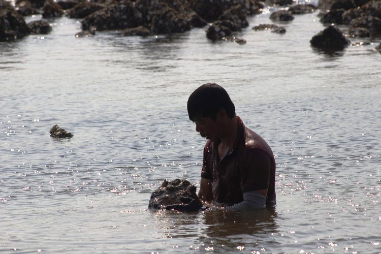 Đàn ông, thanh niên trai tráng thì ngụp lặn dưới sông tìm hàu...