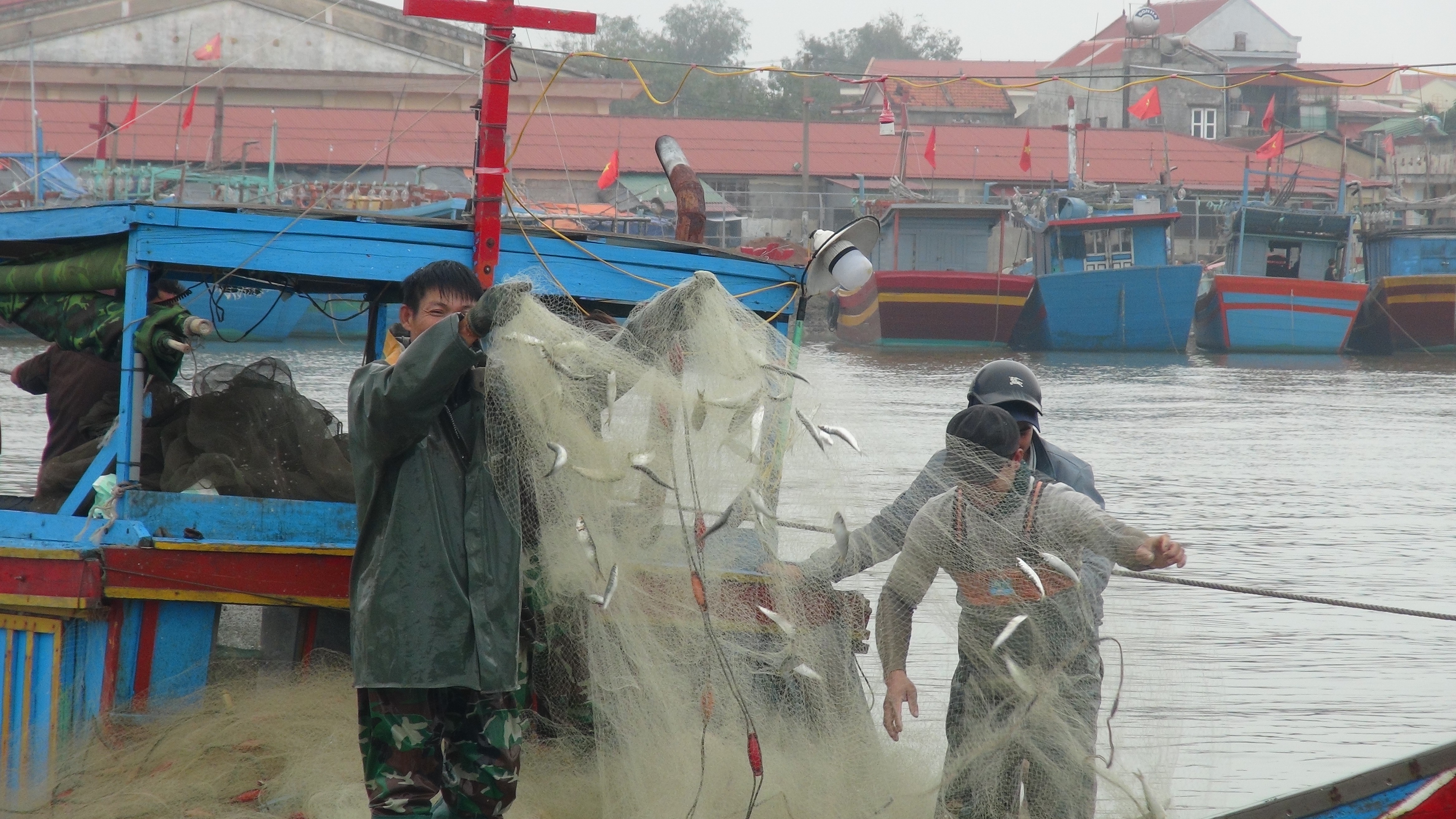 Tin nhanh - Nhộn nhịp trên bến dưới thuyền thu “lộc biển” đầu năm (Hình 2).