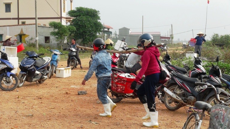 Tin nhanh - Nhộn nhịp trên bến dưới thuyền thu “lộc biển” đầu năm (Hình 6).