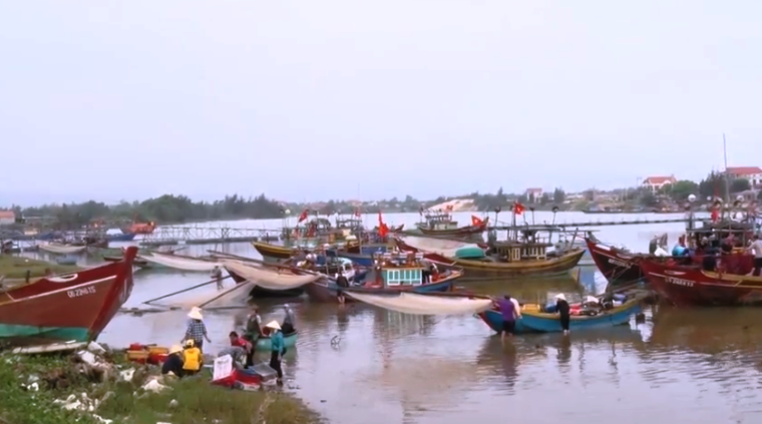 Tin nhanh - Ngư dân trúng đậm ruốc biển, phấn khởi trước thu nhập cả chục triệu mỗi ngày