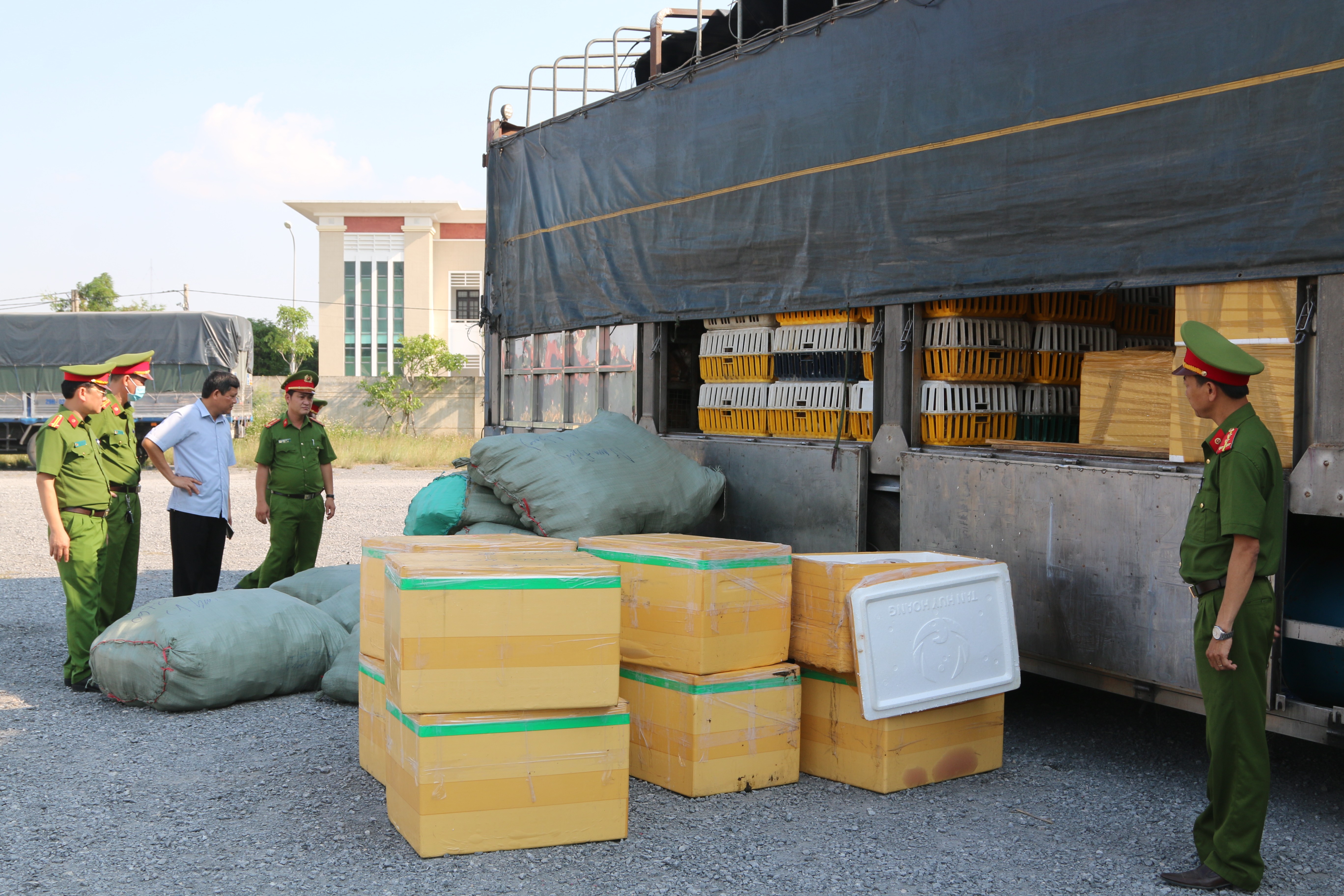 An ninh - Hình sự - Kiểm tra xe ô tô, công an phát hiện hơn 700kg thịt chó, mèo bốc mùi hôi thối