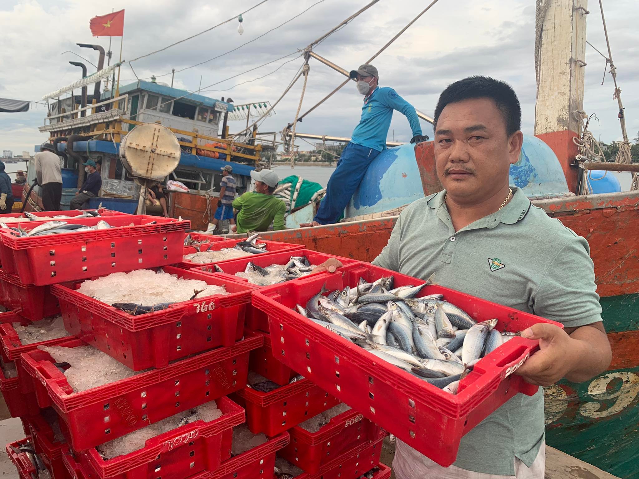 Dân sinh - Cận cảnh mẻ cá nục 250 tấn ngư dân Quảng Bình trúng đậm 2,5 tỷ đồng (Hình 2).