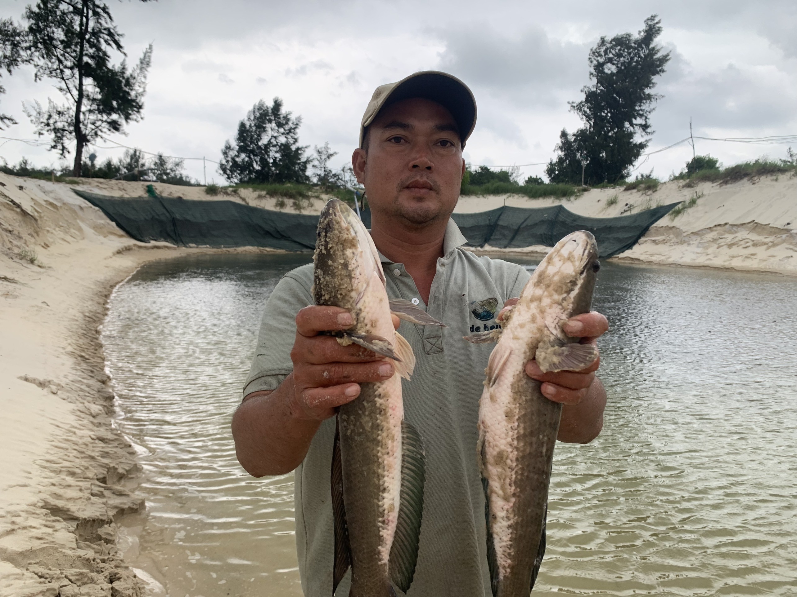 Dân sinh - Sét đánh khiến hành tấn cá lóc trong hồ của người dân chết trắng (Hình 2).