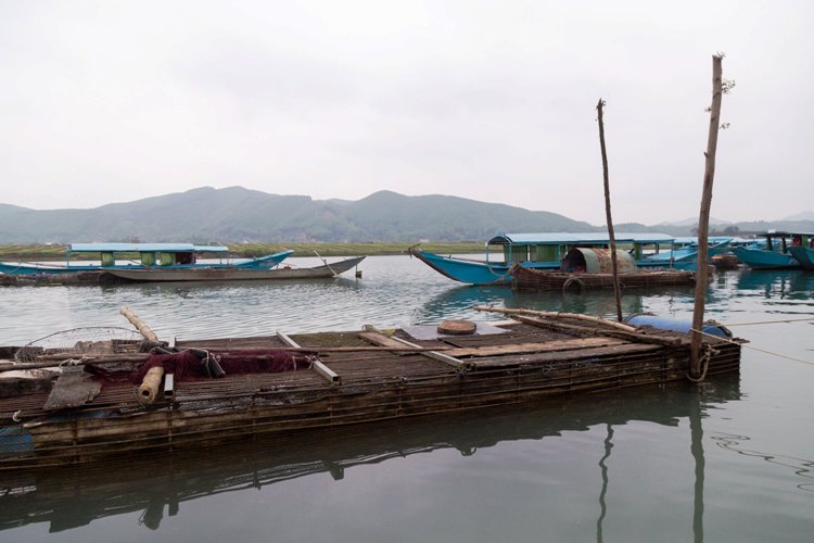 Dân sinh - Nghề nuôi loài cá 'đặc sản' trên miền di sản Phong Nha  Kẻ Bàng