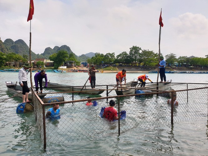 Văn hoá - Độc nhất vô nhị cuộc thi bắt cá trắm trên sông và 'hoa hậu cá'