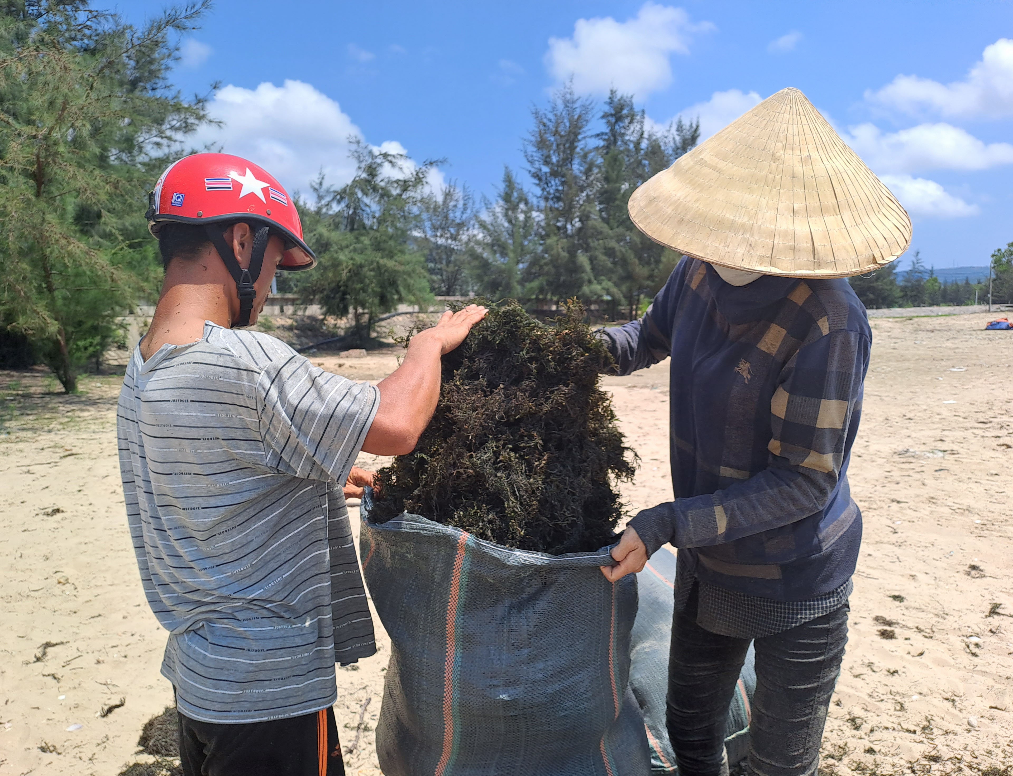 Dân sinh - Cận cảnh lặn tìm 'lộc trời' dưới biển cho thu nhập tiền triệu một ngày (Hình 7).