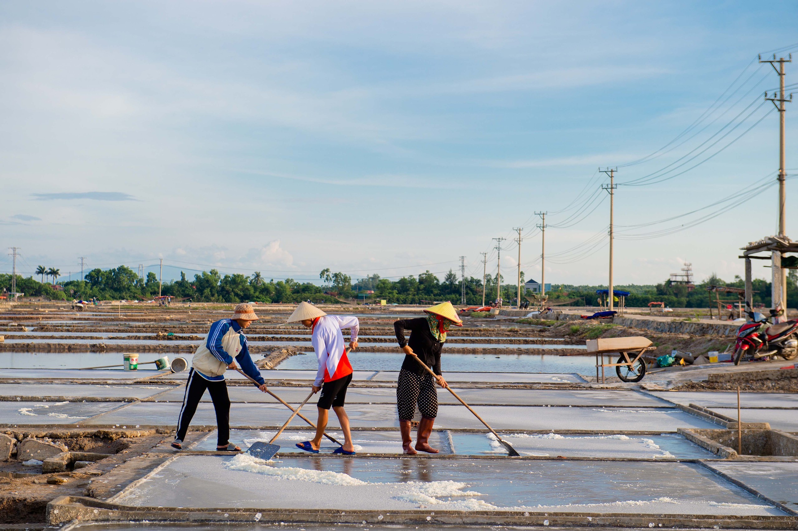 Dân sinh - Ảnh: Dưới cánh đồng 'trắng', trời càng nắng diêm dân càng phấn khởi (Hình 2).