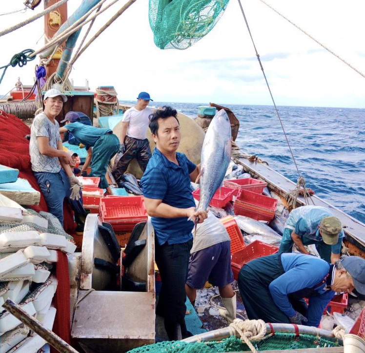 Dân sinh - Quảng Bình: 6 tháng đi biển, ngư dân một xã thu về hàng trăm tỷ đồng  (Hình 3).