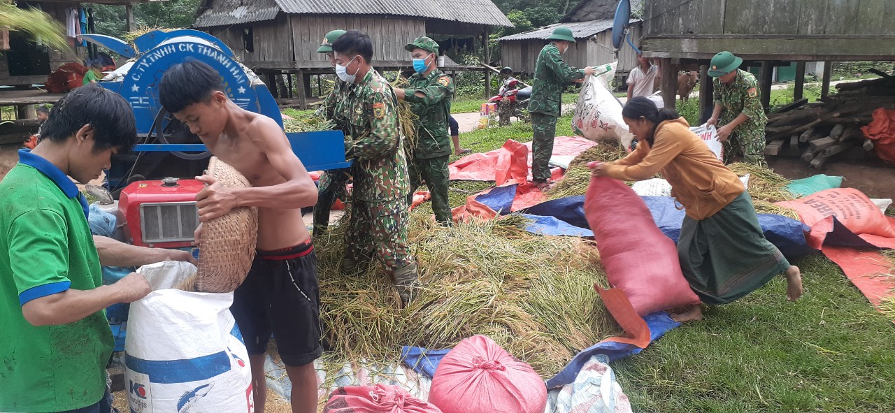 Dân sinh - Ảnh: Cánh đồng lúa vùng biên giới thấm đẫm tình quân dân (Hình 6).