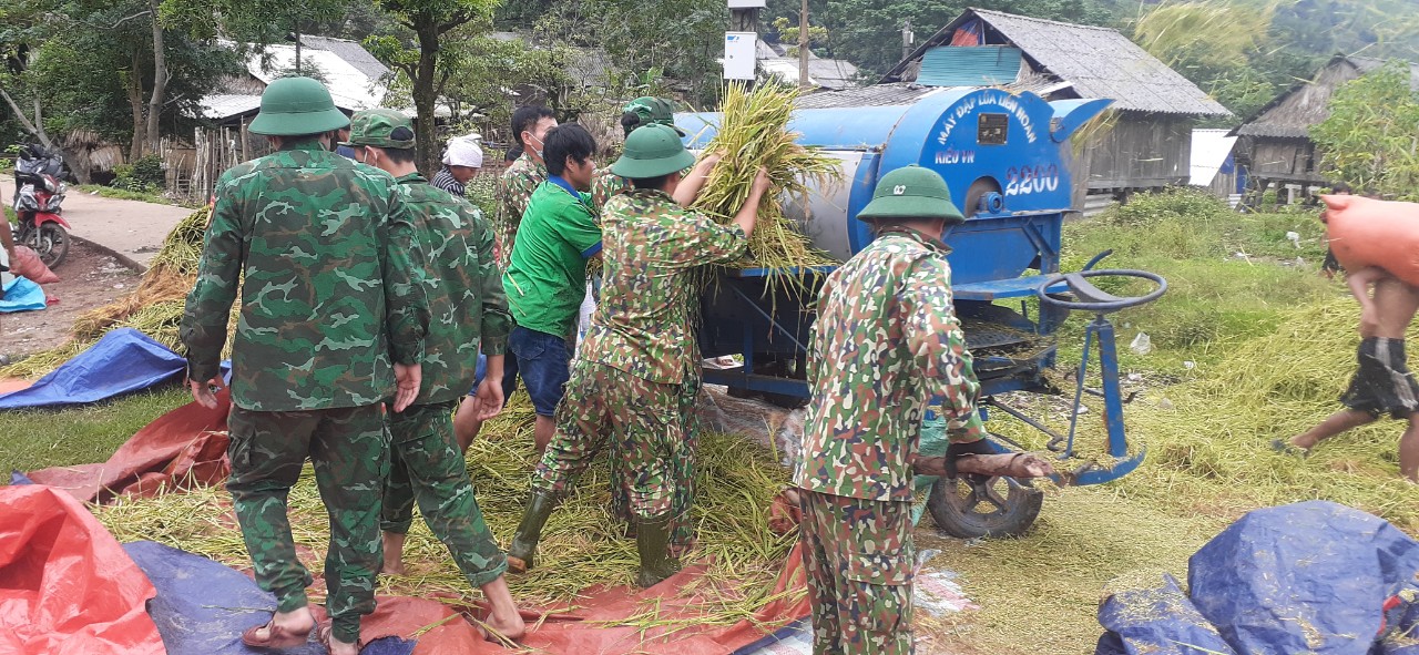 Dân sinh - Ảnh: Cánh đồng lúa vùng biên giới thấm đẫm tình quân dân (Hình 4).