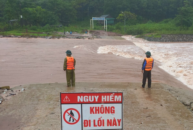 Dân sinh - Cách nông dân Quảng Bình 'cứu' vụ hoa Tết sau đợt mưa lớn (Hình 7).