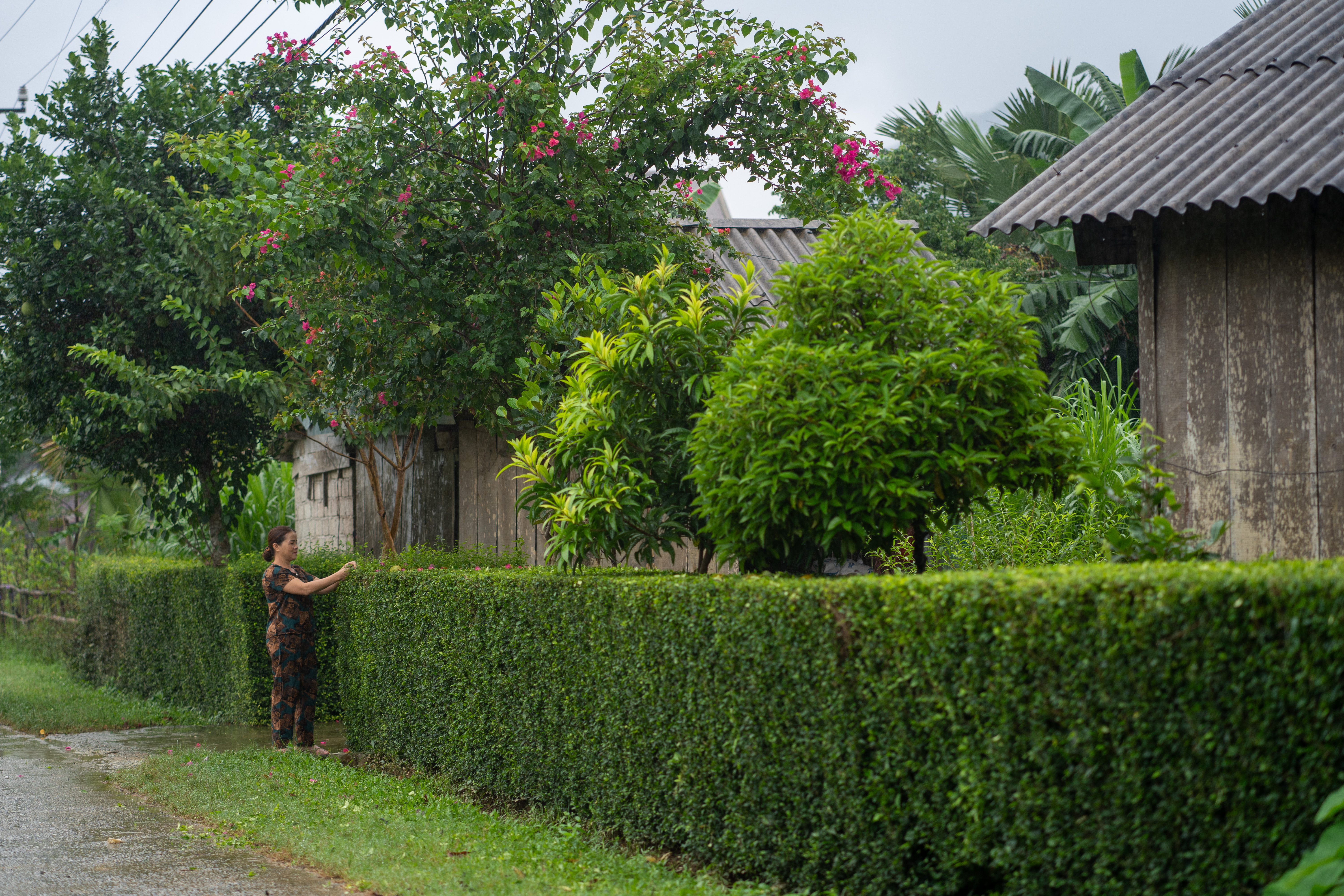 Dân sinh - Quảng Bình: Những con số 'biết nói' ở làng du lịch tốt nhất thế giới (Hình 2).