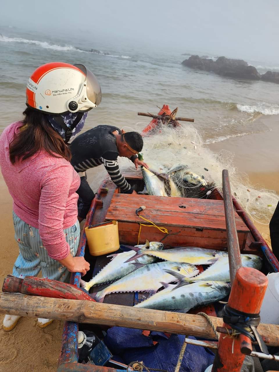 Dân sinh - Quảng Bình: Ngư dân phấn khởi trúng đậm 'lộc biển' những ngày đầu năm  (Hình 2).