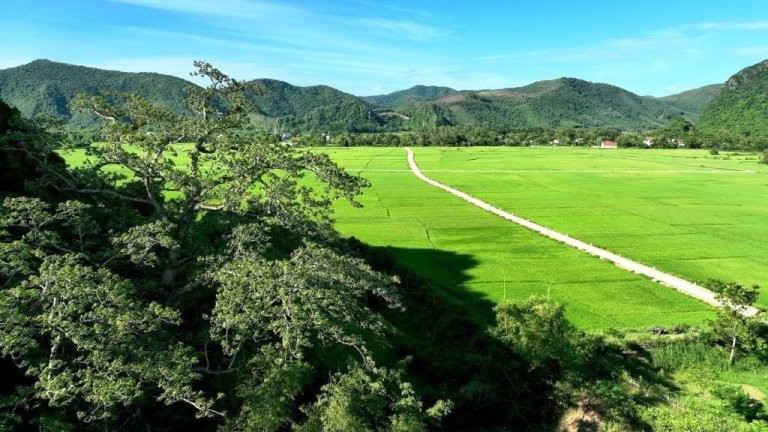 Văn hoá - Chiêm ngưỡng cây gạo hàng trăm năm tuổi ở Quảng Bình  (Hình 6).