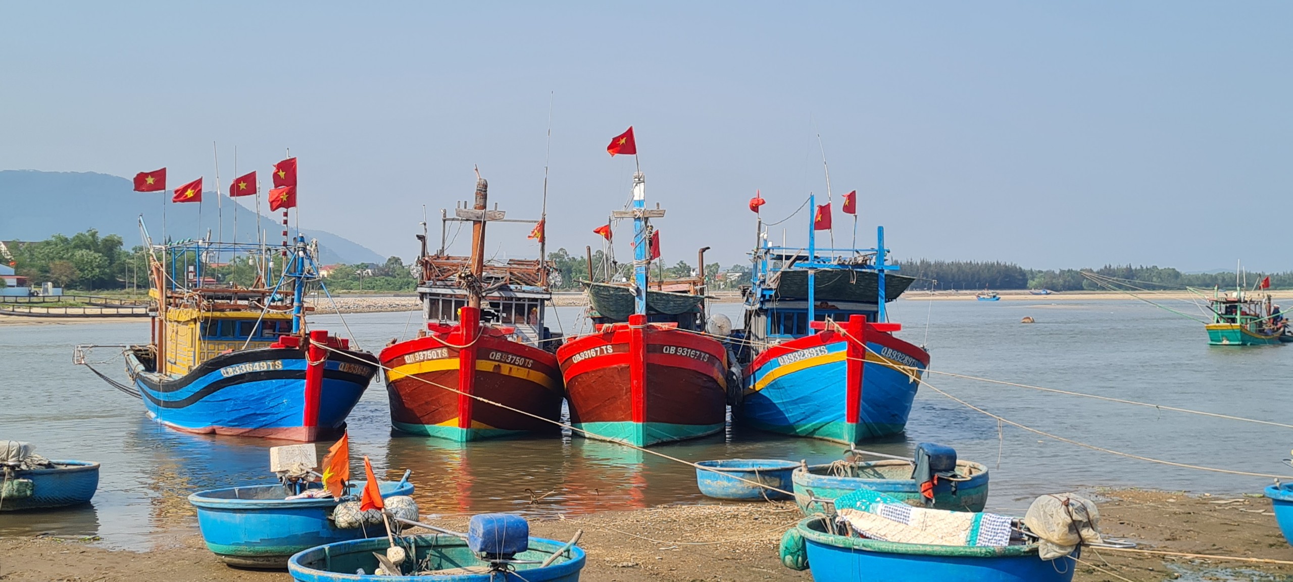 Dân sinh - Làng biển có doanh thu hơn 50 tỷ đồng trong tháng 3: Hé lộ mức thu nhập của ngư dân (Hình 2).