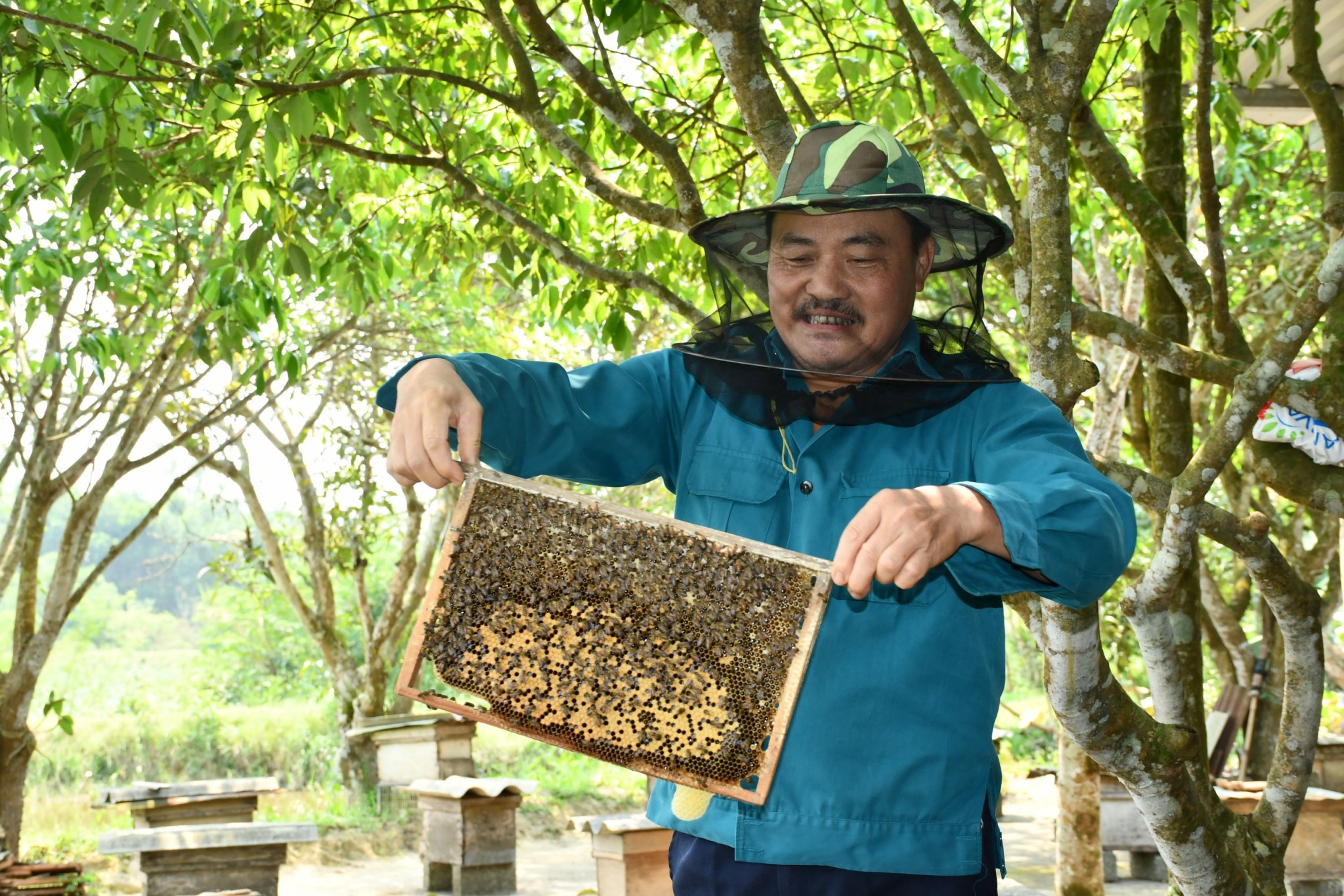 Tiêu dùng & Dư luận - Nuôi vài tổ ong thử nghiệm, không lâu sau có hàng trăm đàn ong mật, người dân thu 'lãi khủng' (Hình 2).