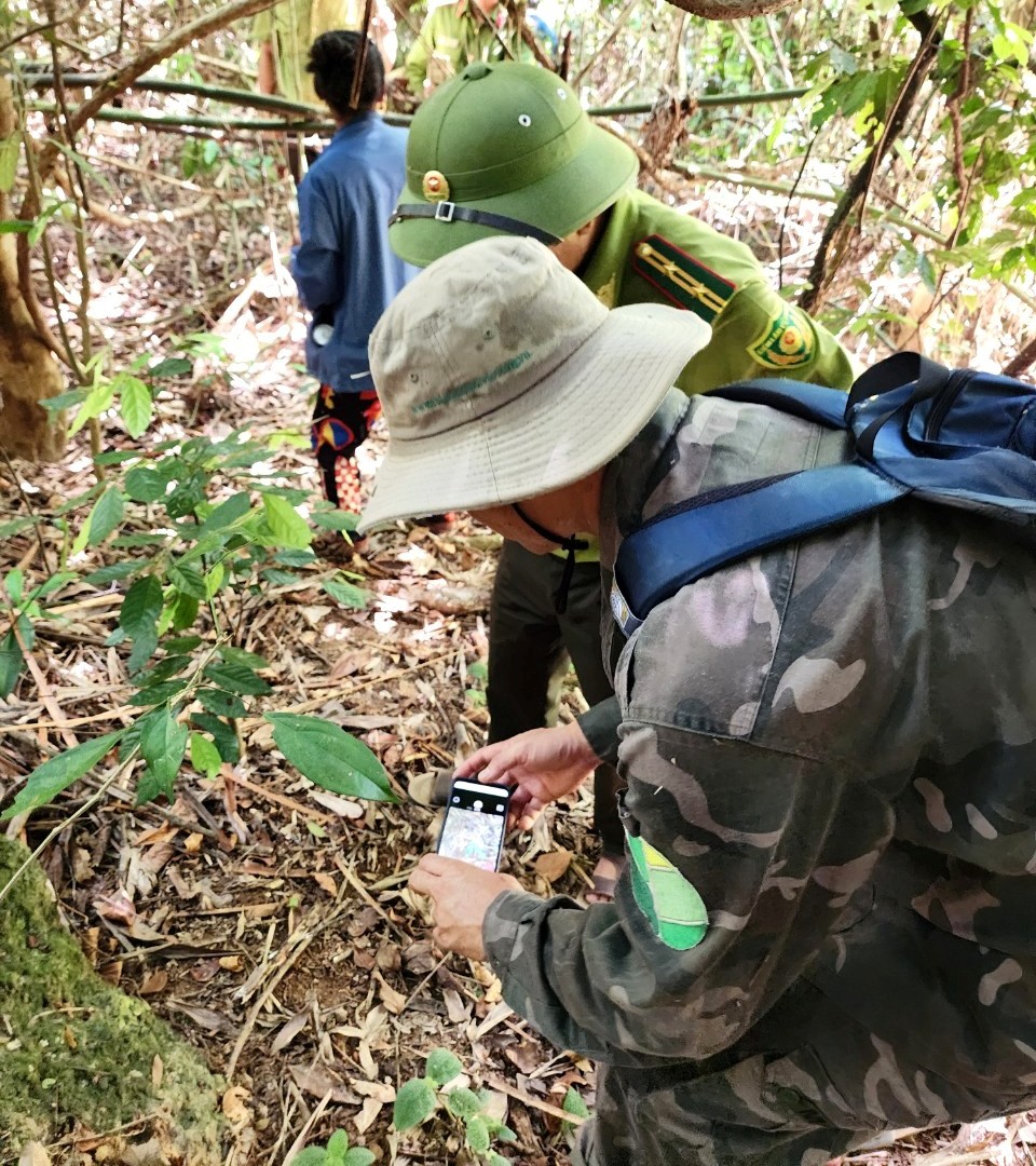 Dân sinh - Nhóm phụ nữ trình báo thấy hổ: Nghi là mèo rừng (Hình 3).