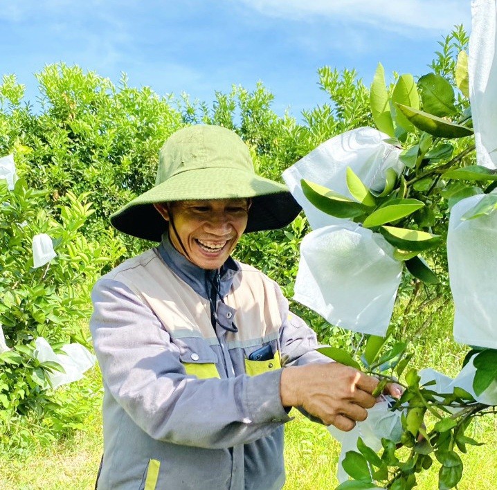 Tiêu dùng & Dư luận - Kiếm 300 triệu/năm nhờ nuôi cá, trồng cây đặc sản có múi trên vườn 