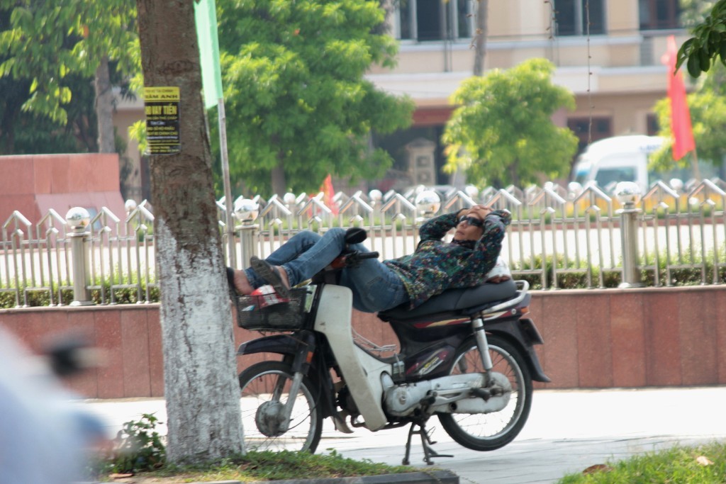 Hàng cây bóng mát là nơi lý tưởng để người lao động ngả lưng.