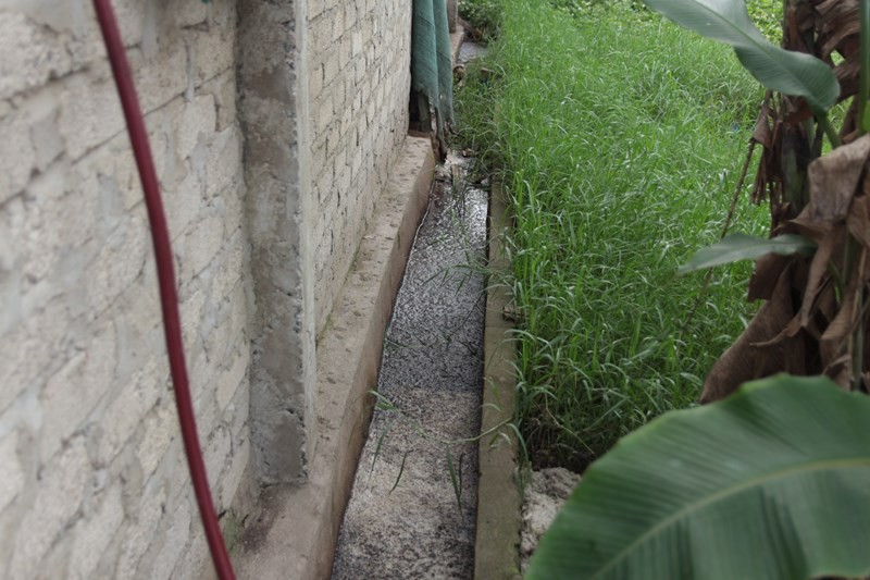 Môi trường - Cận cảnh lò mổ lợn trong khu dân cư gây ô nhiễm, ruồi bu kín nhà (Hình 8).
