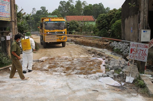 Sức khỏe - Nghệ An: 10 mẫu xét nghiệm đều âm tính với dịch tả lợn châu Phi (Hình 2).