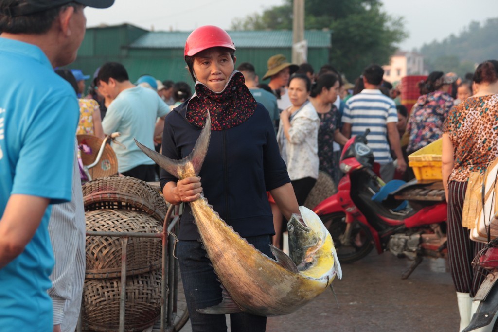 Dân sinh - “Đột nhập” bến cá bậc nhất Cửa Lò vào sáng bình minh (Hình 2).