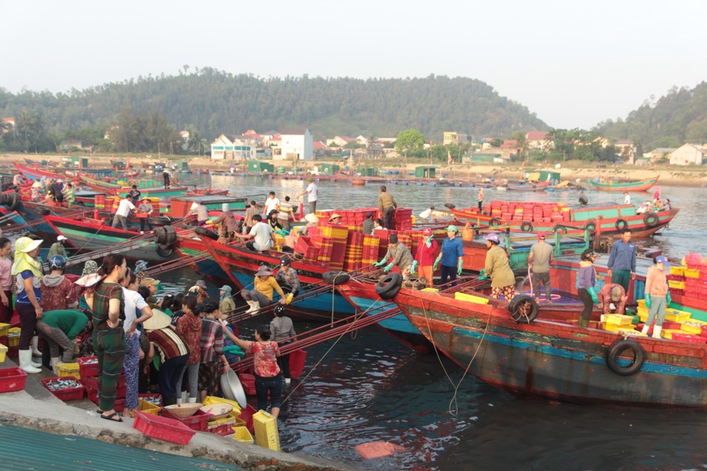 Dân sinh - “Đột nhập” bến cá bậc nhất Cửa Lò vào sáng bình minh (Hình 3).