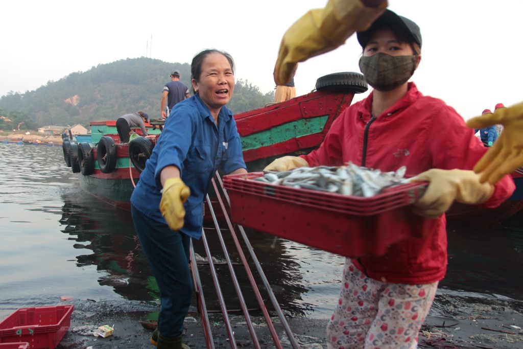 Dân sinh - “Đột nhập” bến cá bậc nhất Cửa Lò vào sáng bình minh (Hình 5).
