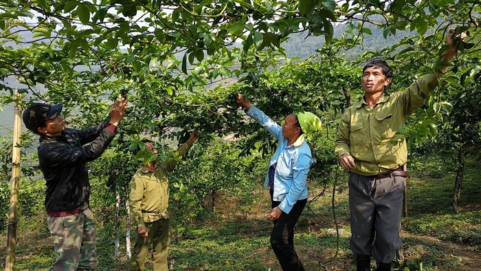 Chính sách - Chuyện của những tấm gương bình dị mà cao quý ở xứ Nghệ (Hình 3).