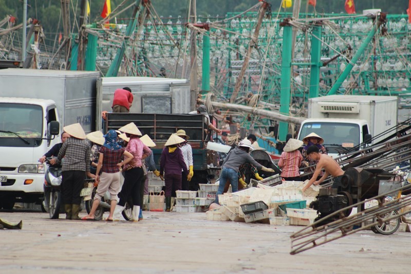 Gia đình - Vụ 9 ngư dân mất tích: Ước mơ xót xa của những thiếu niên bỏ học từ 15 tuổi theo bố bám biển mưu sinh (Hình 5).