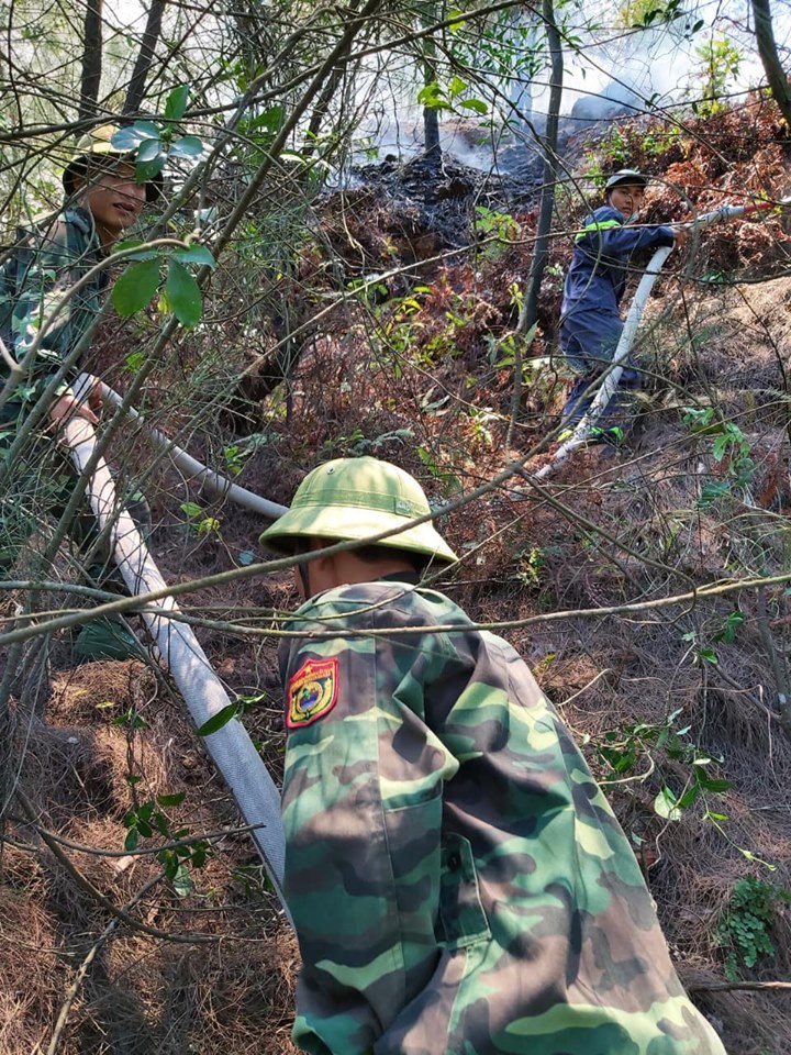 Tin nhanh - Cháy rừng ở Nghệ An nghi do người dân đốt vàng mã cúng Rằm tháng 7 (Hình 3).