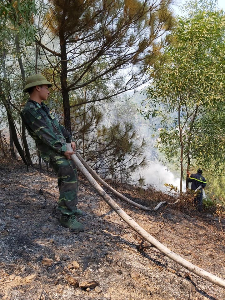 Tin nhanh - Cháy rừng ở Nghệ An nghi do người dân đốt vàng mã cúng Rằm tháng 7 (Hình 4).