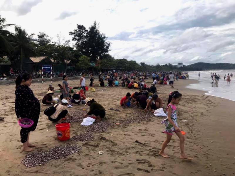 Dân sinh - Người dân ào ra biển Cửa Lò vớt ‘lộc trời’ sau bão số 4 (Hình 9).