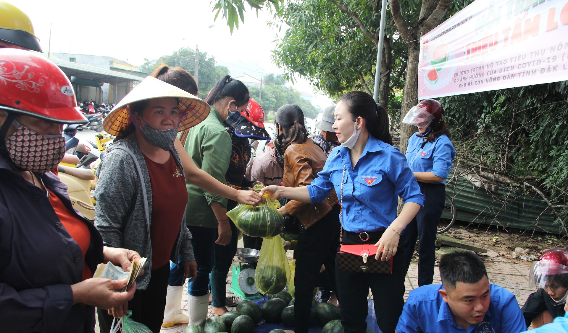 Tin nhanh - Tuổi trẻ phố biển xứ Nghệ chung tay “giải cứu” dưa hấu (Hình 2).